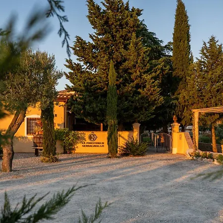 B&B La Foresteria Di Serracavallo